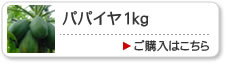 �ѥѥ���1kg