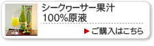 ������������̽�100%����