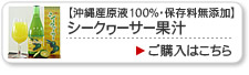 ������������̽�100%