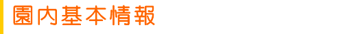 ܾ